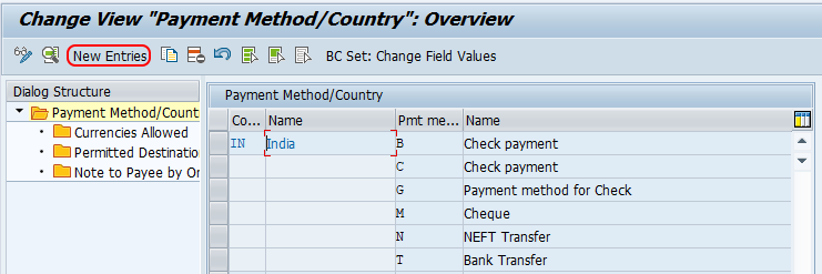 set up payment method for country SAP