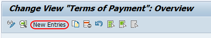 terms of payment overview screen SAP