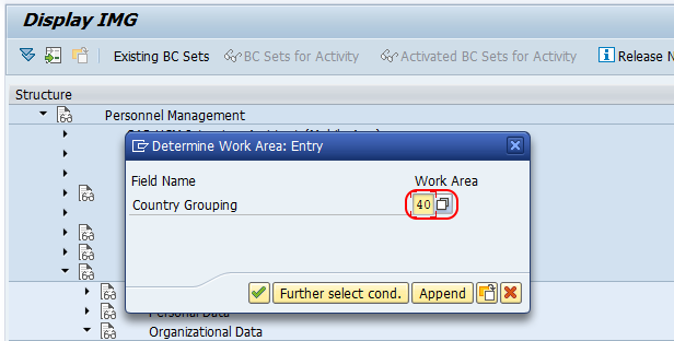 work area country grouping SAP