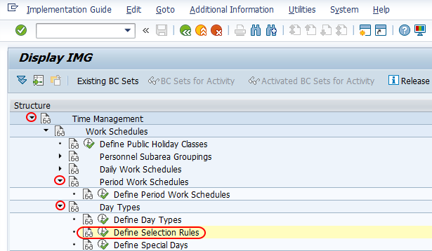 Define selection rules in SAP