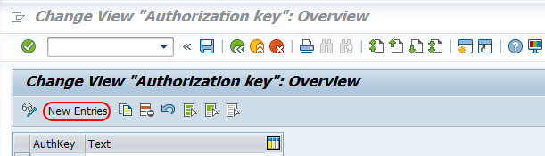 Maintain authorization key in SAP