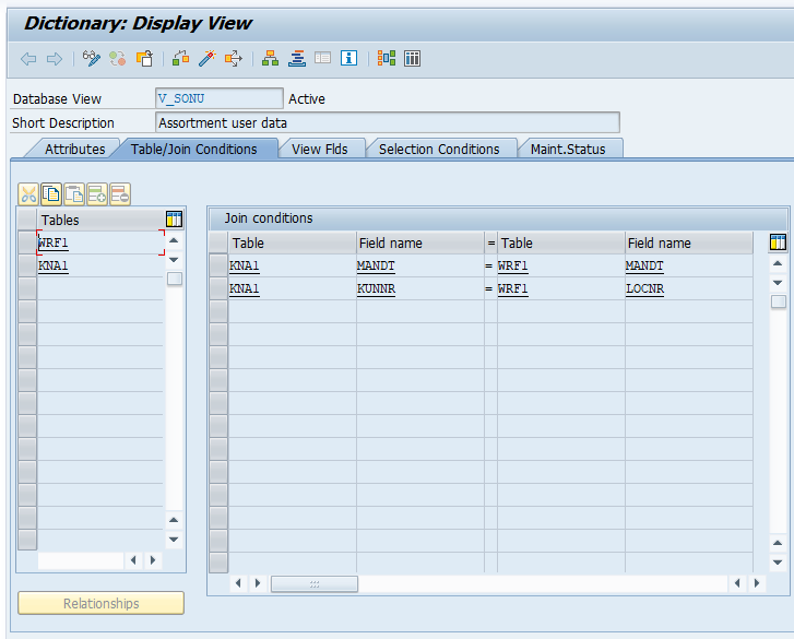 SAP ABAP Views in Data Dictionary