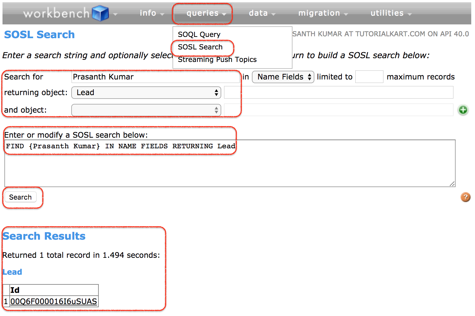 SOSL search in workbench Salesforce