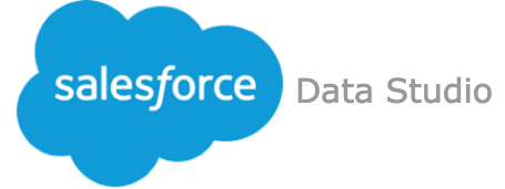 Salesforce data studio
