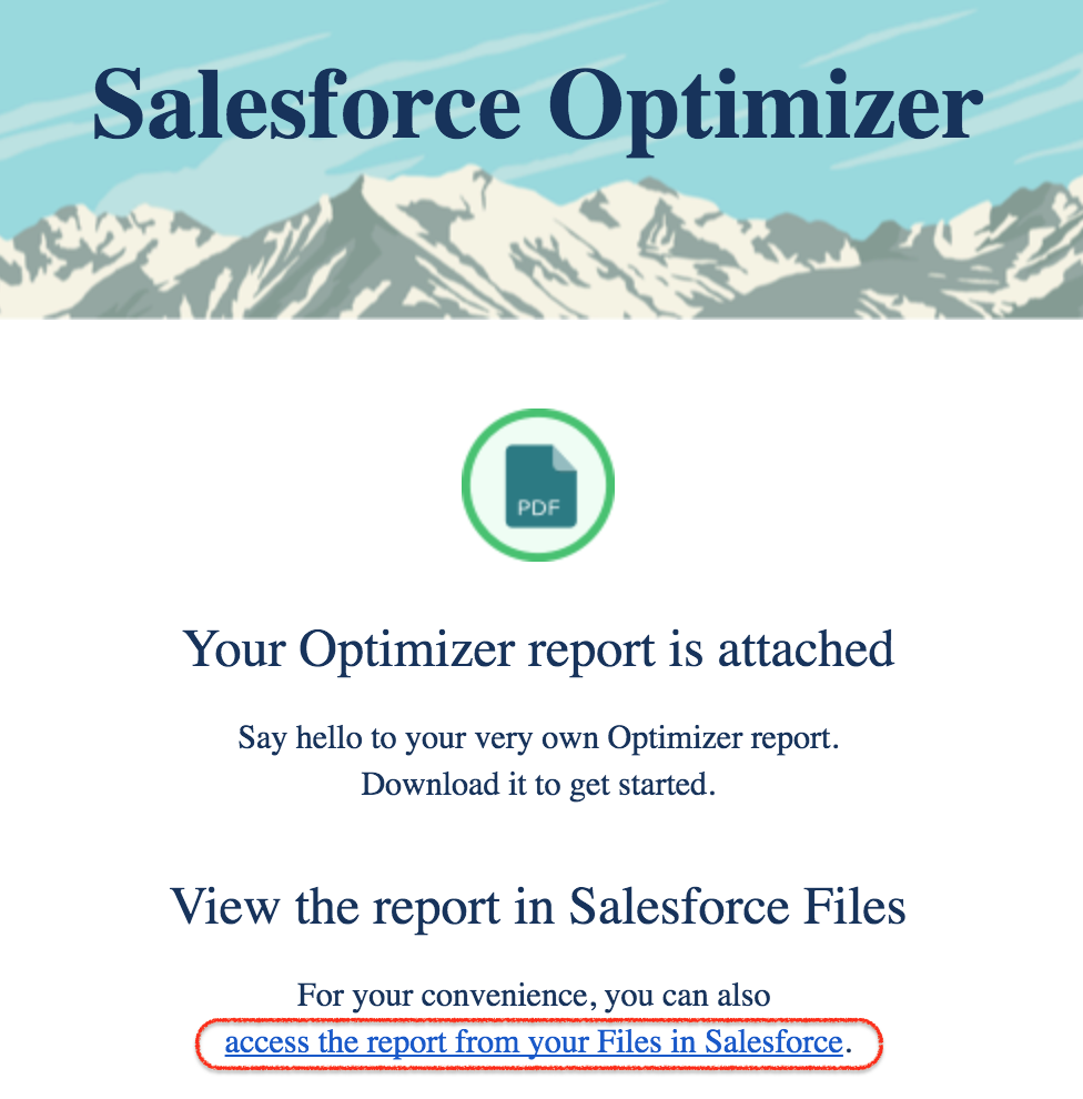 Salesforce optimizer pdf report