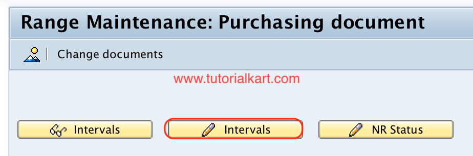 Define Number Ranges for PO new entries