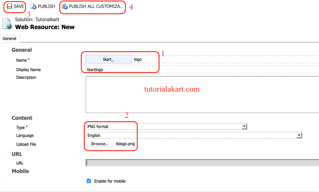 What are Web Resources in Dynamics 365