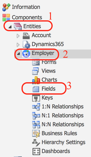 How to Create Entity fields in Dynamics 365