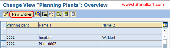 planning plant new entries SAP