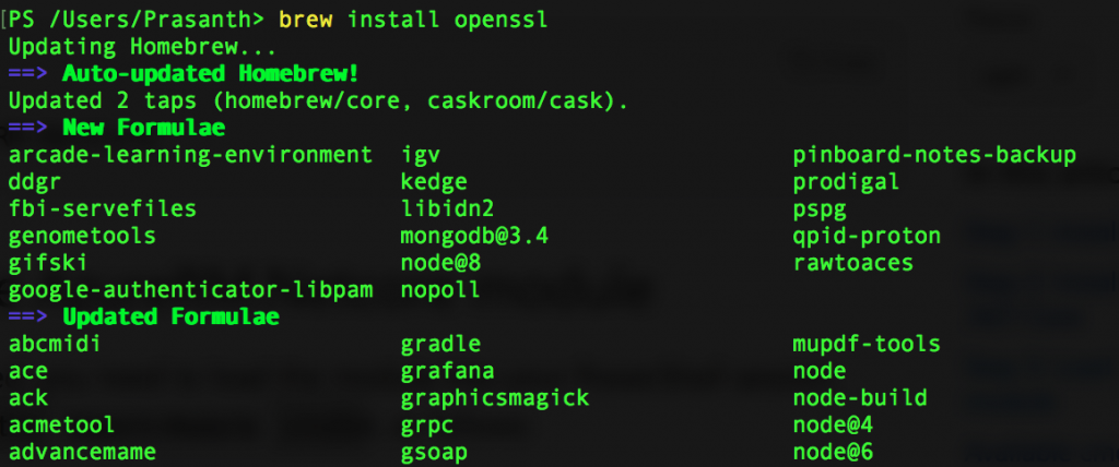 Homebrew's OpenSSL libraries