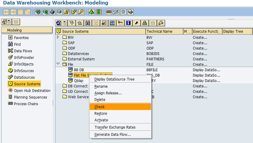 check flat file source system BW