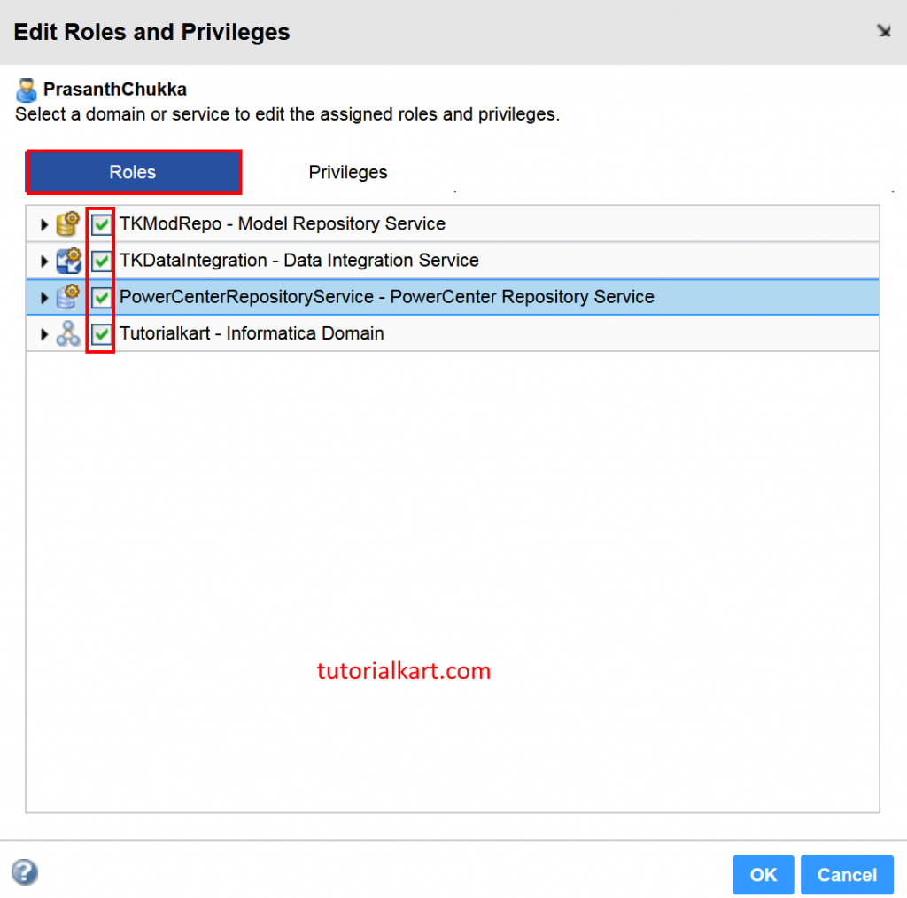 Assigning privileges to Informatica user