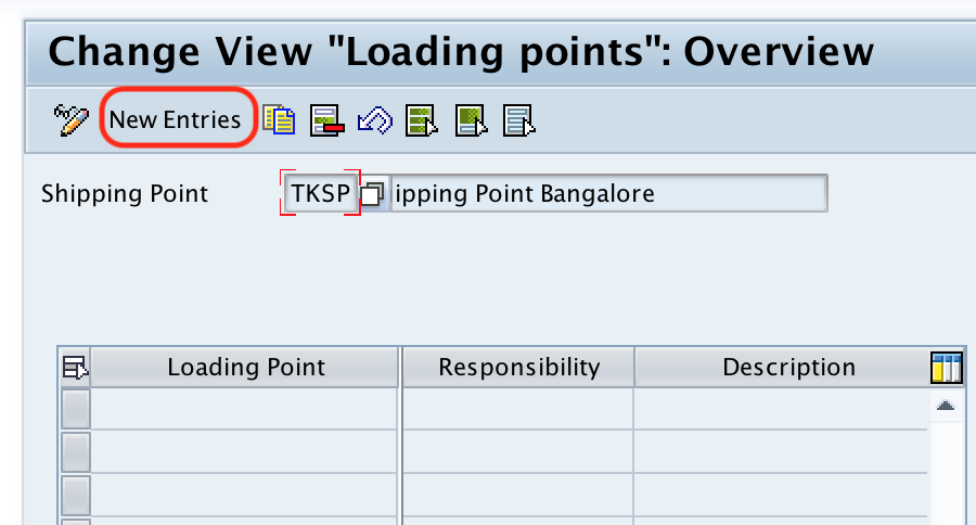 Loading point new entries in SAP