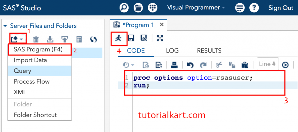 SAS Basics - Setting up sample data