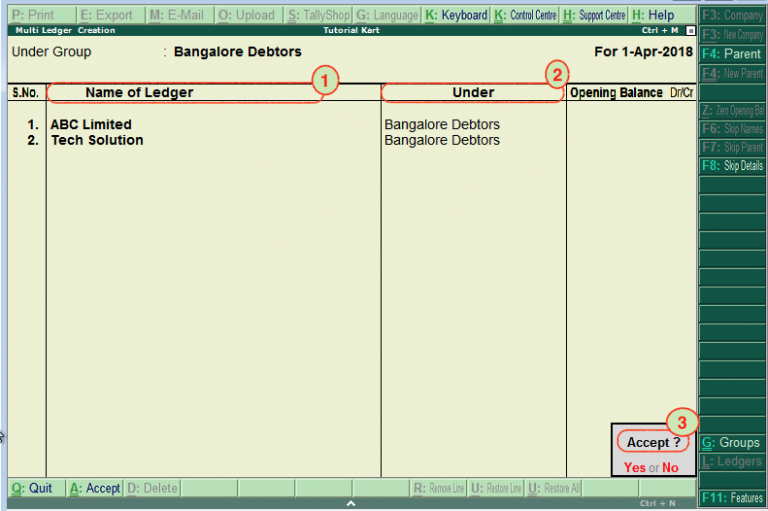 How to create ledgers in tally multiple ledgers 