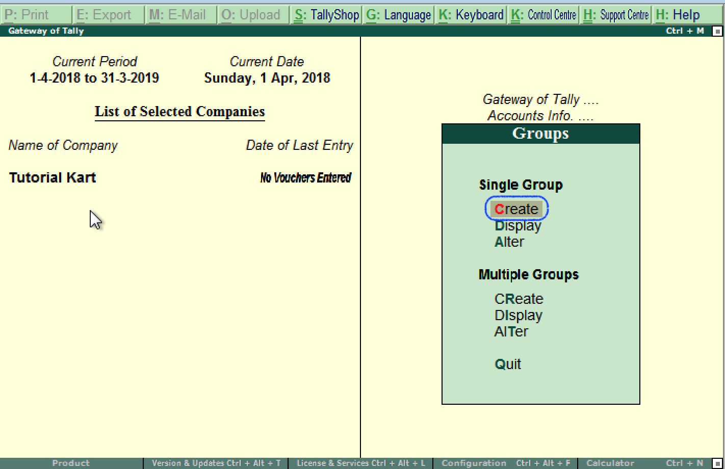 Create single group in Tally ERP 9