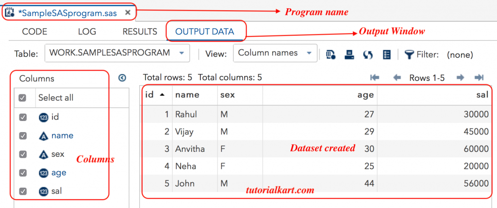 Writing Our First Sample Sas Program