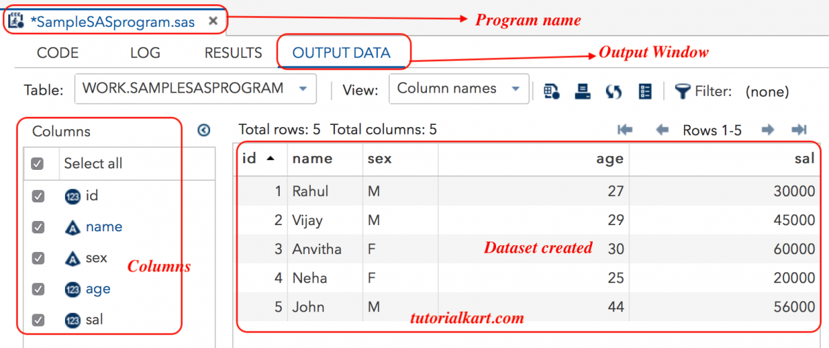 Writing our first Sample SAS Program - TutorialKart