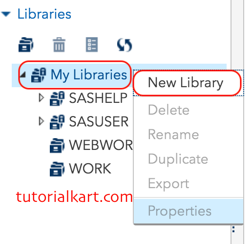 SAS libraries