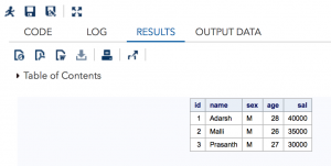 SAS Infile Statement - Read raw data