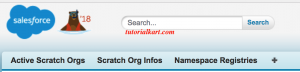 Salesforce Dev Hub Setup