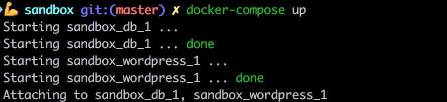 Docker Multi-Container Application Setup