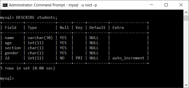 MySQL Describe Table