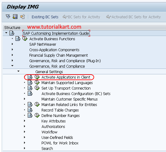 SAP GRC - Activate applications in client path