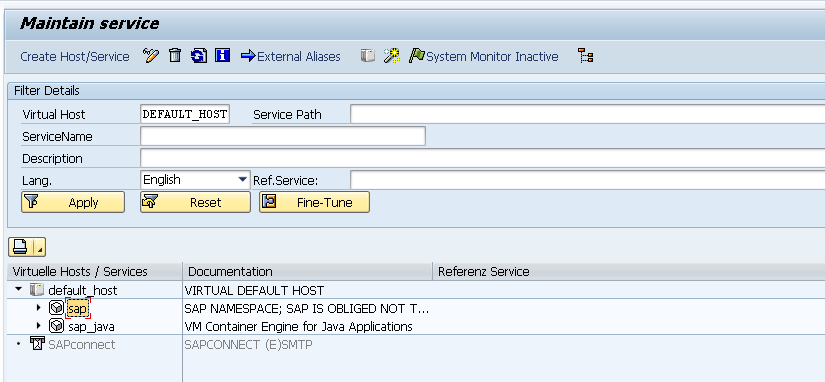 SAP GRC virtual host in SAP