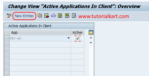 sap grc - ACTIVATE APPLICATIONS NEW ENTRIES
