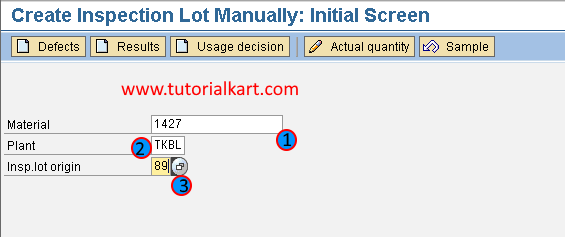 Create inspection lot manually in SAP
