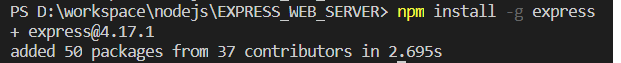 Node.js NPM install -g express