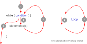 C# While Loop