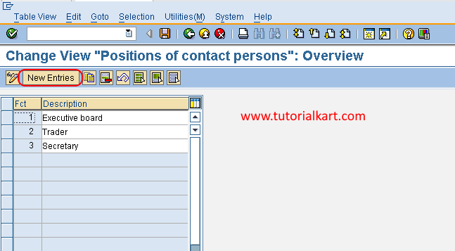 Create new function in SAP FSCM new entries