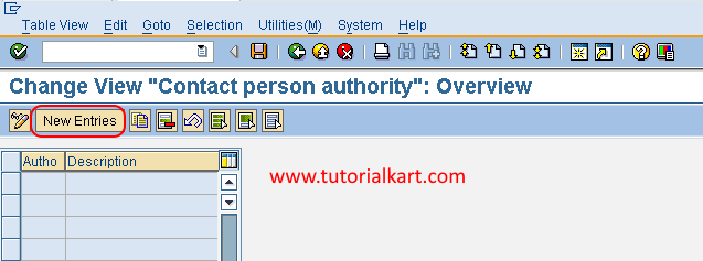 Define Authority in sap new entries