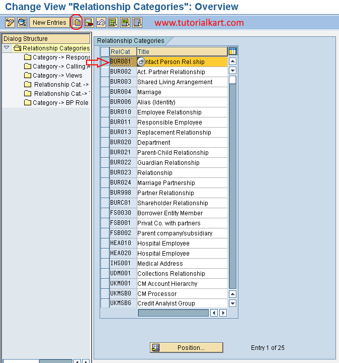 Relationship categories in SAP copy as