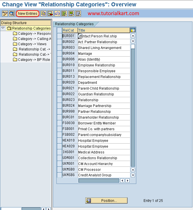Relationship categories in SAP new entries