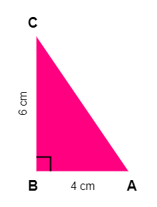 Example - Area of Right Angle Triangle - Given Base and Height