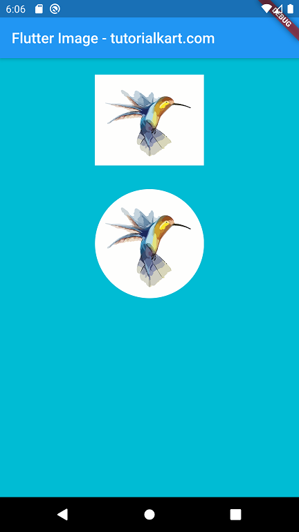 Flutter Round Image