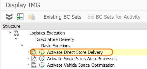 Activate direct store delivery in SAP