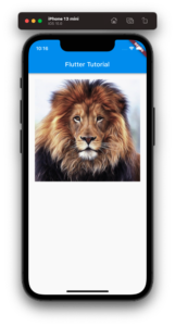 Flutter Image Widget Tutorial