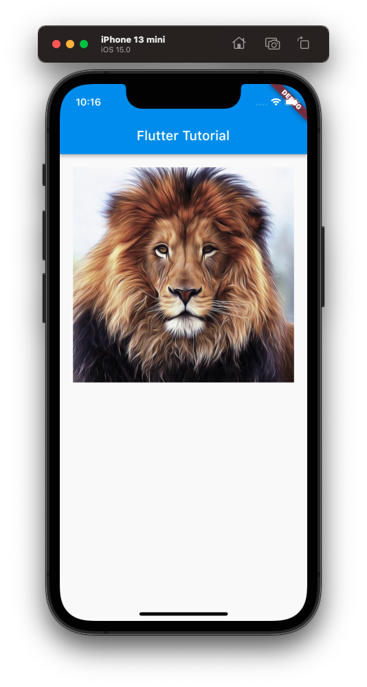 iPhone - Flutter Image Widget Tutorial