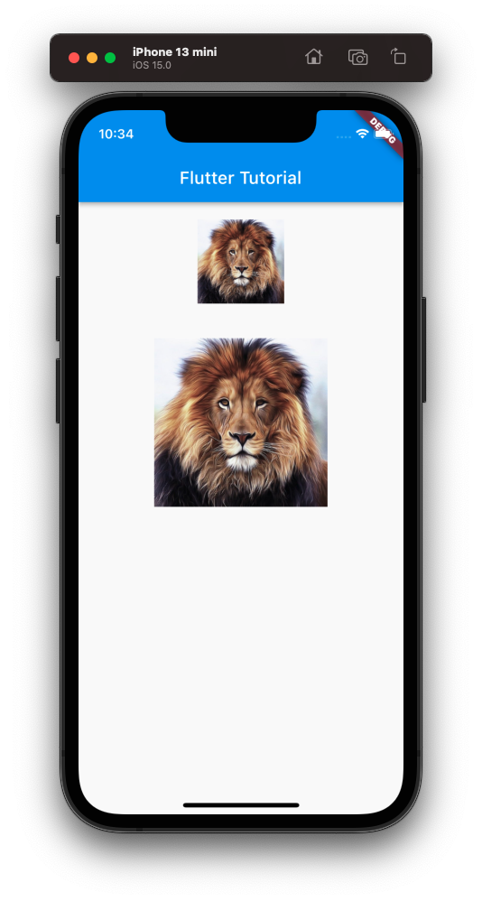 Flutter iPhone - Set Image Width