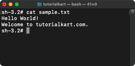 Bash - Append a text to file