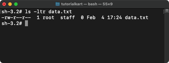 Bash - Create a new file