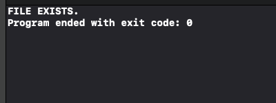 Swift - Check if a File Exists - Positive Scenario output