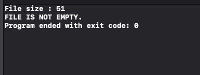 Swift - Check if File is Empty - Non-empty file scenario output