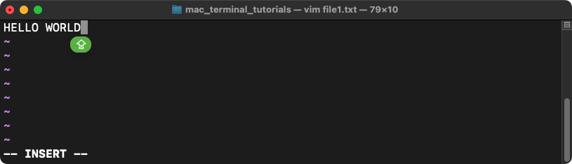 How to Create a New File in Mac Terminal? 4 Different Ways
