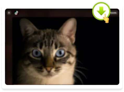 How to downlaod videos using SaveFrom.net website