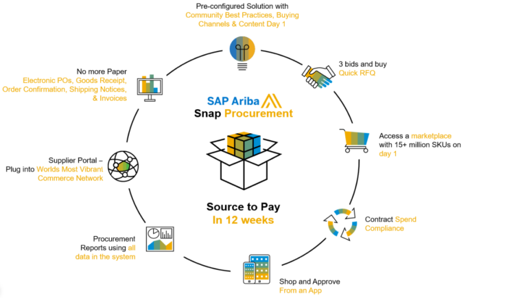 SAP ARIBA TECHNICAL OR FUNCTIONAL visual data 4